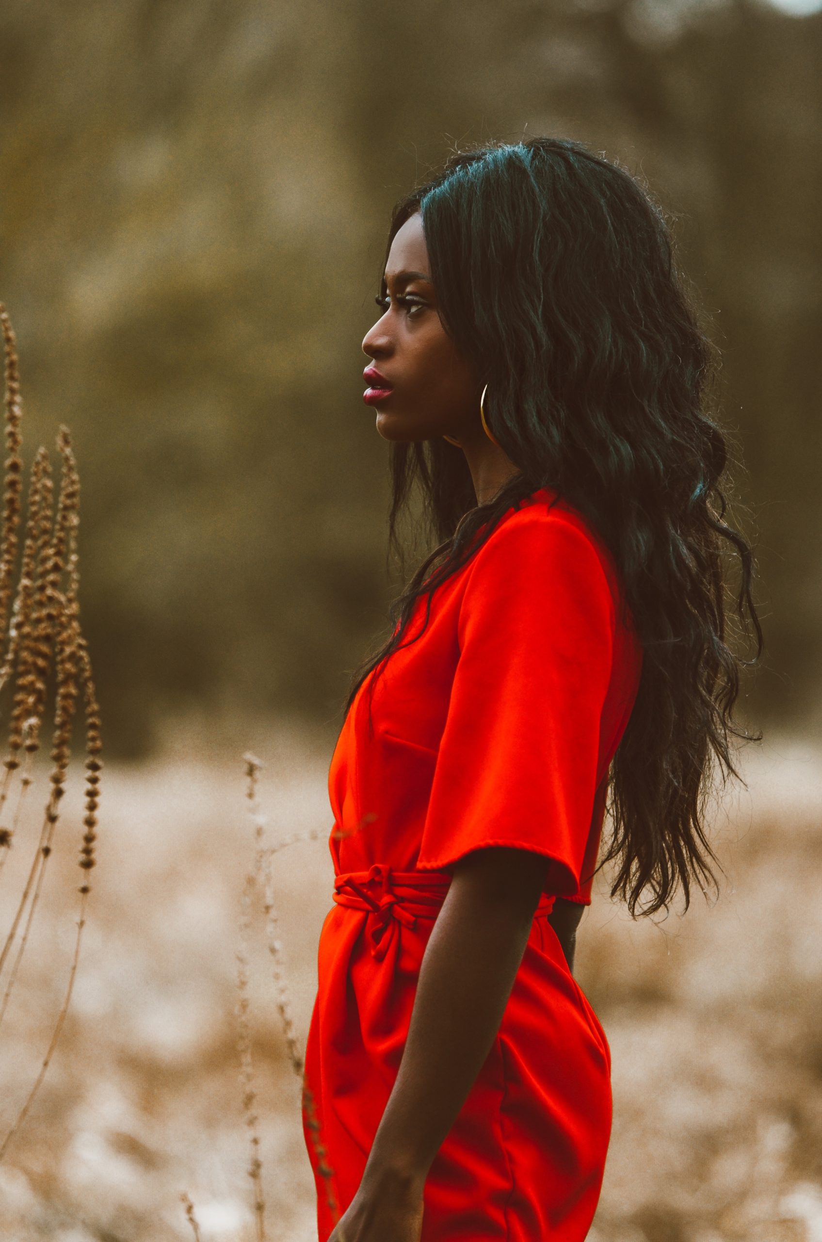 Portrait shot of red dress_cissiama